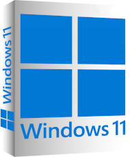 Windows 11 Box